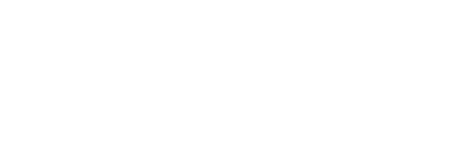Soroni Logo